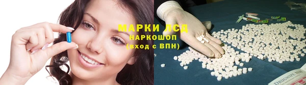молекула духа Арсеньев