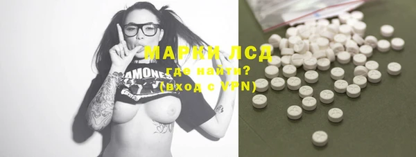 молекула духа Арсеньев