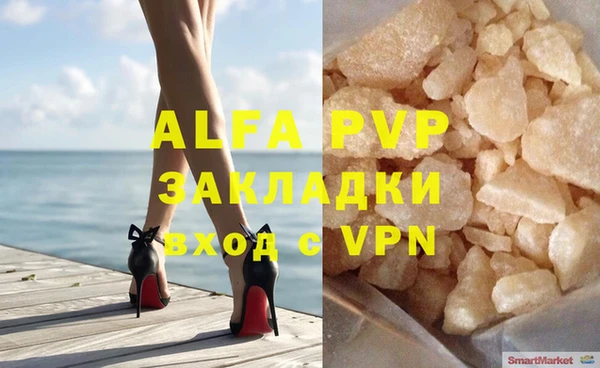 молекула духа Арсеньев