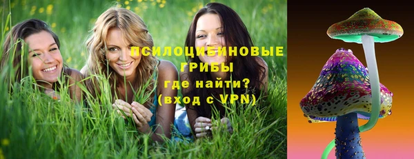 молекула духа Арсеньев